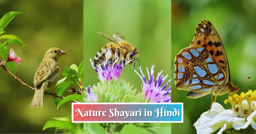 Nature Shayari