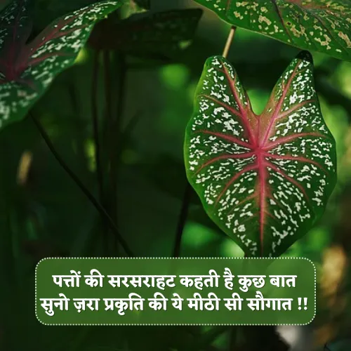 Nature Shayari 2 Line