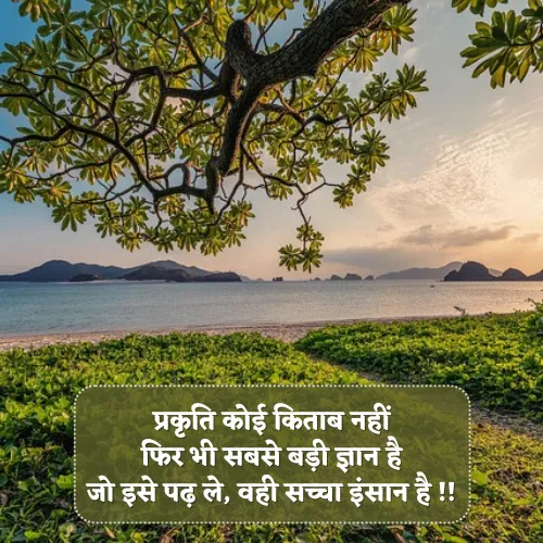 Nature Shayari in Hindi for Instagram