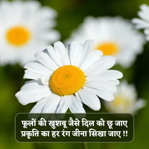 Nature Shayari