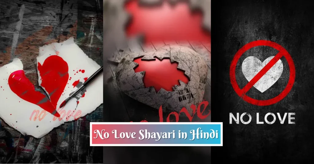 No Love Shayari