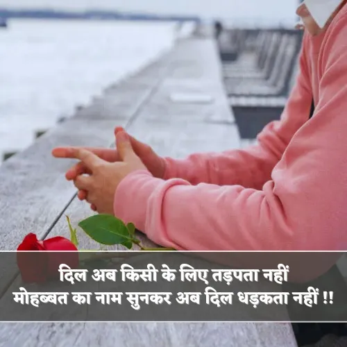 No Love Shayari Boy
