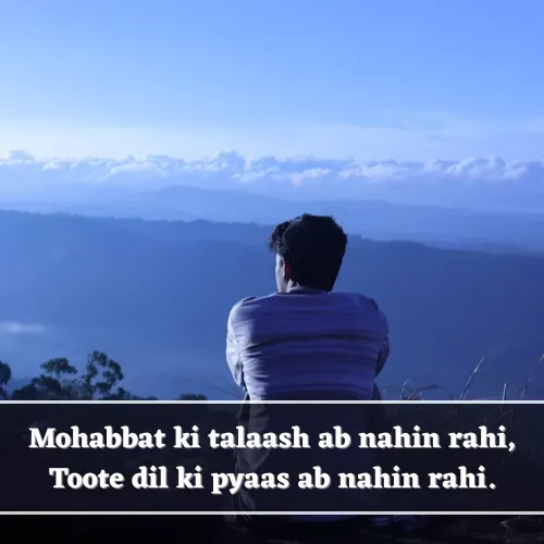 No Love Shayari English