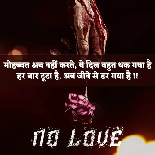No Love Shayari